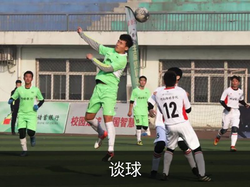 了解谈球